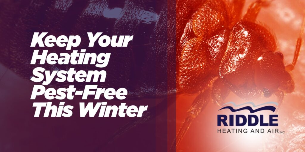 Keep Your Heating System Pest-Free This Winter